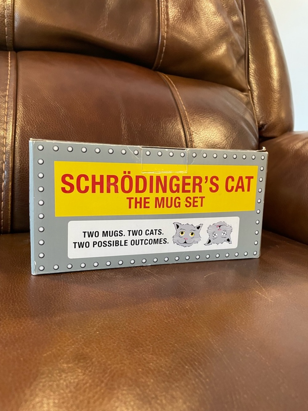 Schrödinger’s Cat Mug Set 
The Unemployed Philosophers Guild 
Like New - Picture 3 of 13